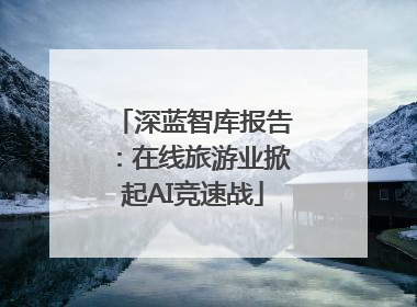 深蓝智库报告：在线旅游业掀起AI竞速战